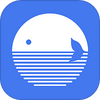 ������app