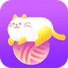 ���������APP
