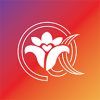 ǣ�佻��app���°�
