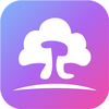 ������app���°�