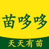 ��߶�app