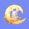 ������������app