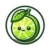 Lime3DSģ�������°�
