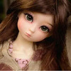 doll��ֽappͼ��