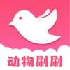 ����ˢˢapp���°�