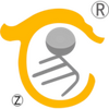 �����Ĳ���