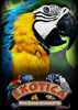 ��������̵�ģ����Exotica: Petshop Simulatorͼ��