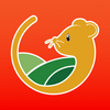 ������¡app