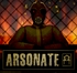 �ݻ𷸿�����Ϸ(ARSONATE)��Ϸ������Ѱ�v1.0.0��׿��