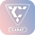 carat seventeen games��Ϸ�������°�v20240308��׿��