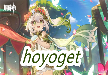 hoyoget