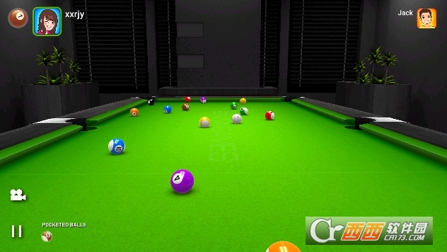 Real Pool(ʵ3D̨2024°)