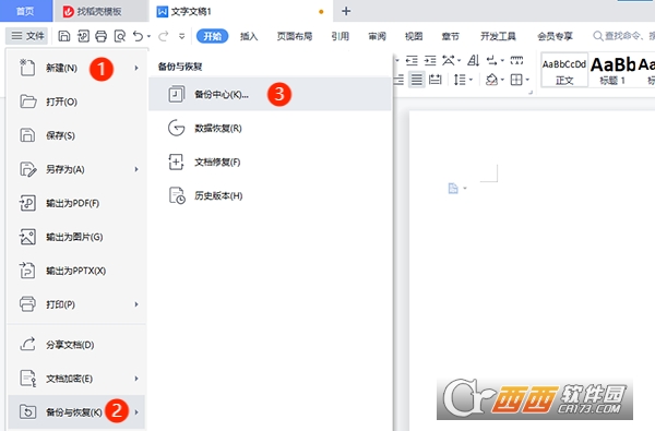 WPS Office 2024רҵɫ