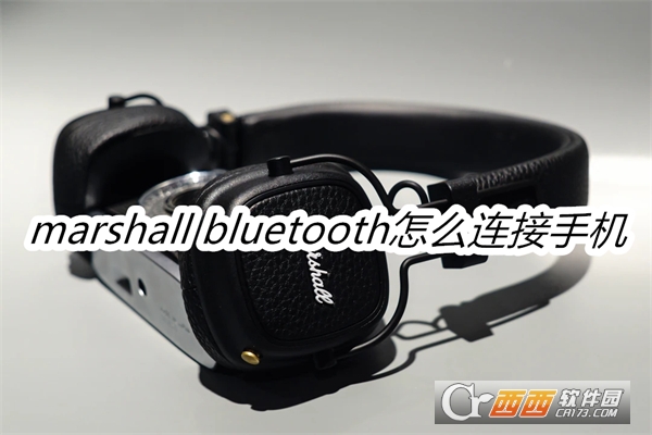 Marshall Bluetooth(Ъ)