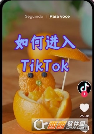 TikTokʰ°