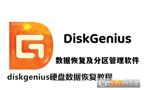 DiskGenius רҵ