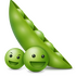�϶��Թٷ�2026��׿���°汾v2.0�ֱ���