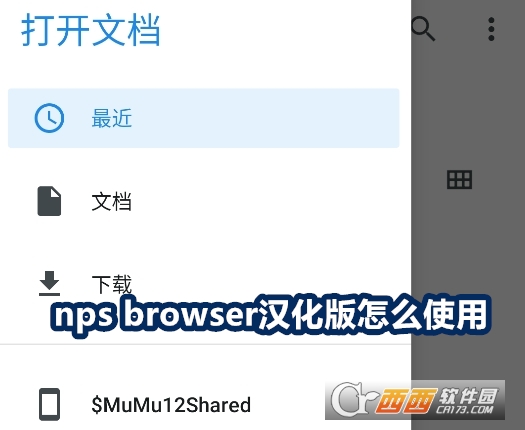 nps browser°