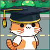 ����ѧУ����2025���°汾���İ棨CatSchool��