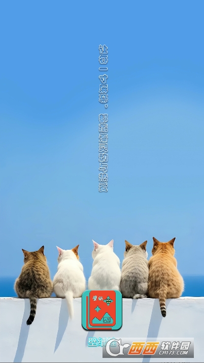 壁纸蛙app官方版下载 壁纸蛙app官方版下载