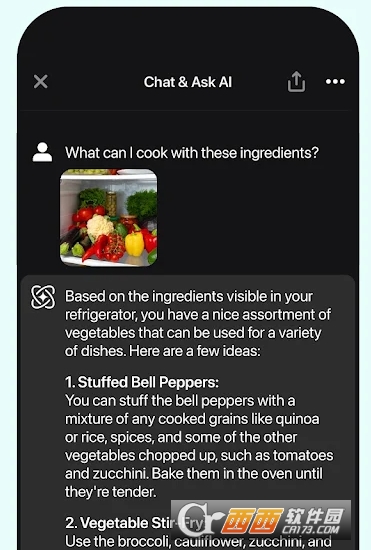 AskAI安卓版免费下载 AskAI安卓版免费下载