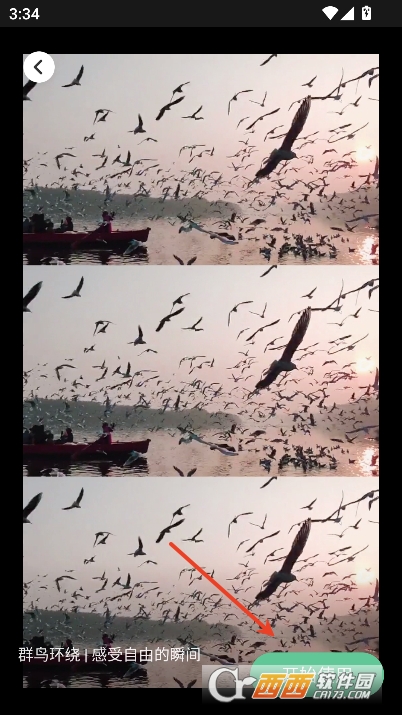 idolvlog安卓移动版 idolvlog安卓移动版