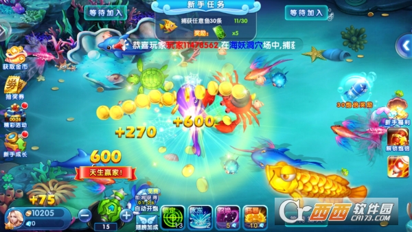 ���䲶�����ڰ�