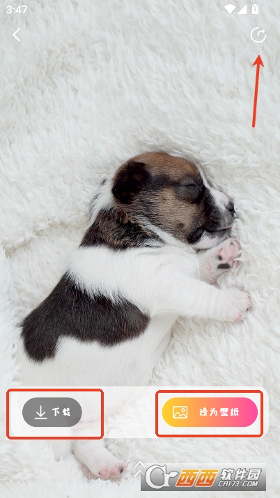 桌面精灵app安卓版全新下载 v1.0.0最新版