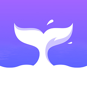 RocNovel小说app安卓最新版