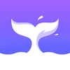 RocNovelС˵app��׿���°�ͼ��