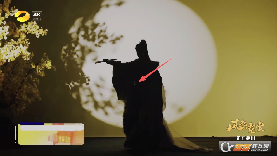 飞扬移视通电视版 v999