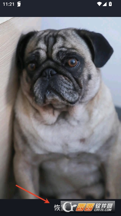 Recycle Bin2025官方中文最新版 v1.3.4安卓版