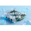 Realtek ESXi