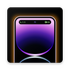 ���е�app��Ա��2026���°�v2.2.4�ֻ���