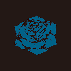 AdoVOO应援棒官方版