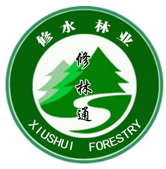 修林通app官方正版