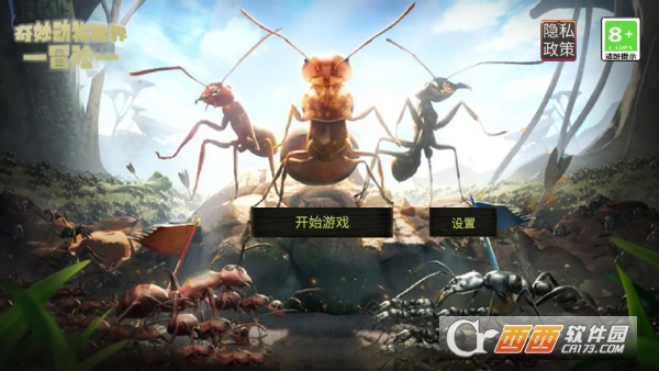 奇妙动物世界探险 奇妙动物世界探险