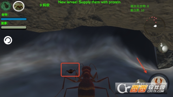 奇妙动物世界探险手游安卓版 奇妙动物世界探险手游安卓版