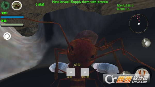 奇妙动物世界探险手游安卓版 奇妙动物世界探险手游安卓版