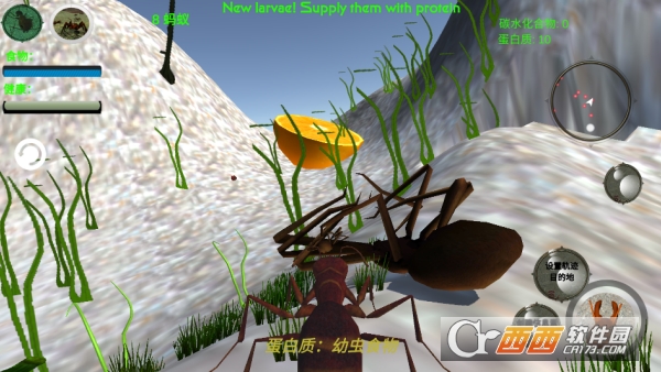 奇妙动物世界探险手游安卓版 奇妙动物世界探险手游安卓版