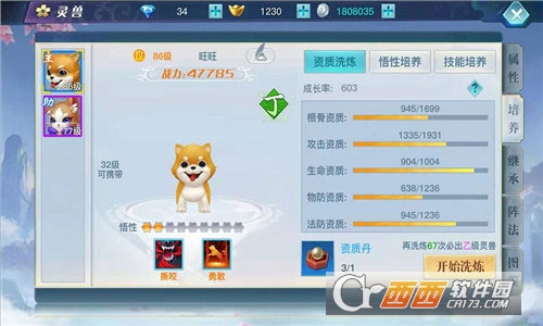 龙武手游全新正版 龙武手游全新正版