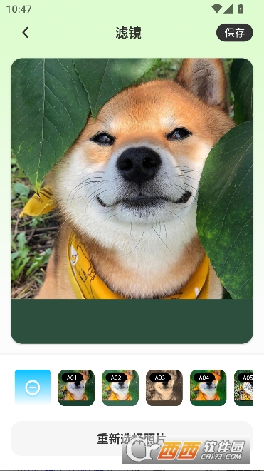 �뾫��app�ٷ����°�