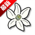 azaharplus�Ȼ�ģ������׿��v0db2f72e8�ٷ���