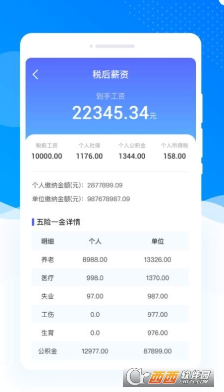 个税清缴详查app官方正版 v1.0.1安卓版