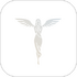 TANCHJIM�ٷ�����v2.5.5.2���°�