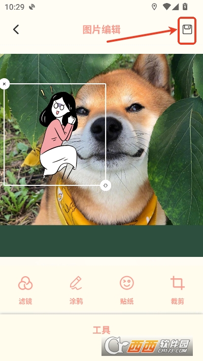 dazzpro安卓最新版 v1.3最新版