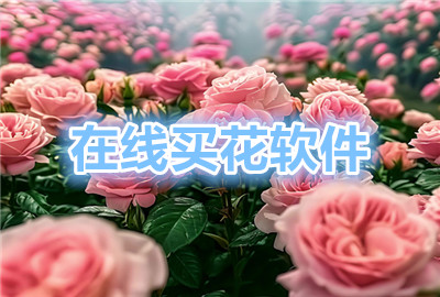 ���������а�_��������������Щ_���򻨵�app