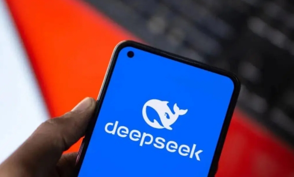 DeepSeekָȫ ͬdeepseekʾ~ô