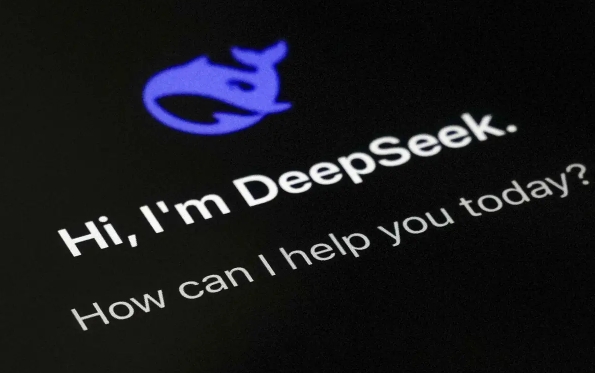 DeepSeekָȫ ͬ(chng)deepseekʾ~ô