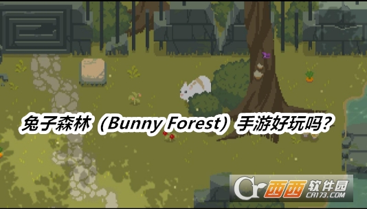 ɭ֣Bunny Forest°2025